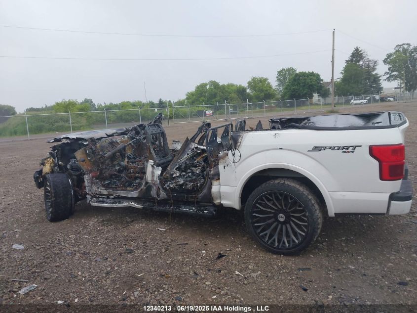 2019 Ford F-150 VIN: 1FTEW1EPXKFC67405 Lot: 12340213