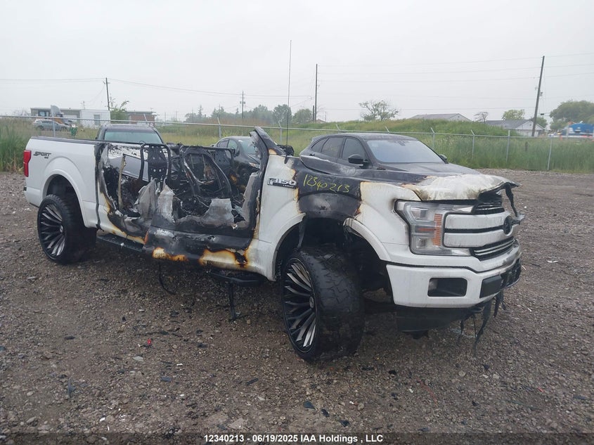 1FTEW1EPXKFC67405 2019 Ford F-150 auction photo 1
