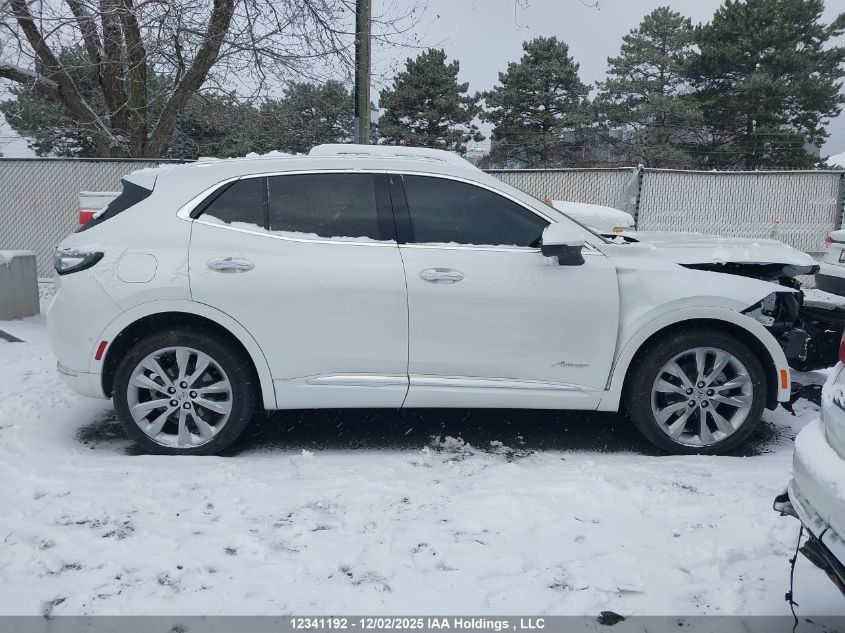 2023 Buick Envision Avenir VIN: LRBFZSR41PD138469 Lot: 12341192