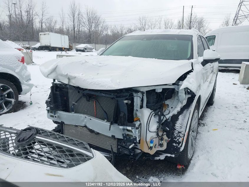 2023 Buick Envision Avenir VIN: LRBFZSR41PD138469 Lot: 12341192