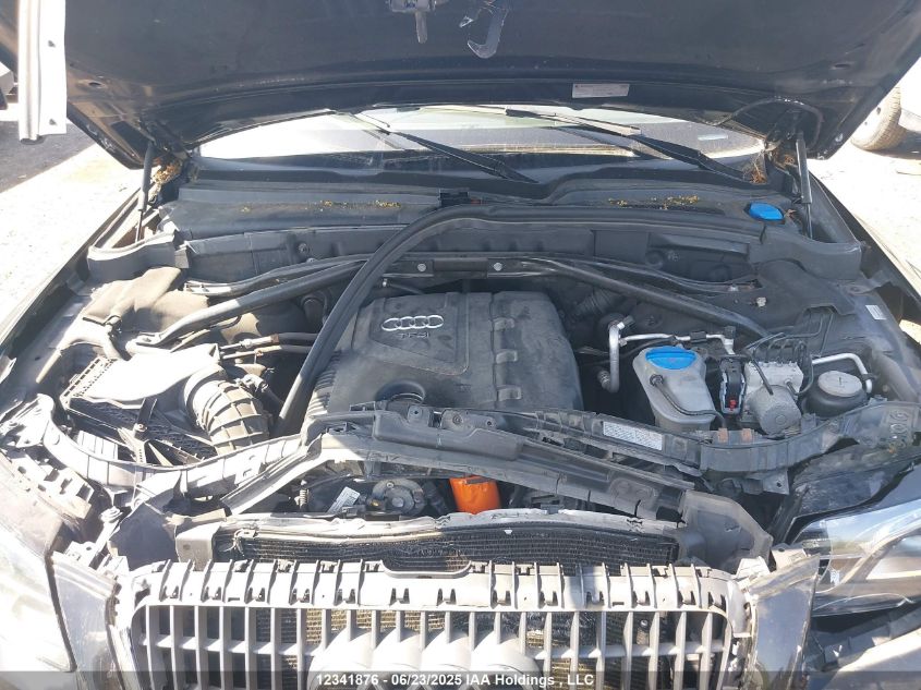 2011 Audi Q5 2.0T Premium Plus VIN: WA1LFCFP0BA118669 Lot: 12341876