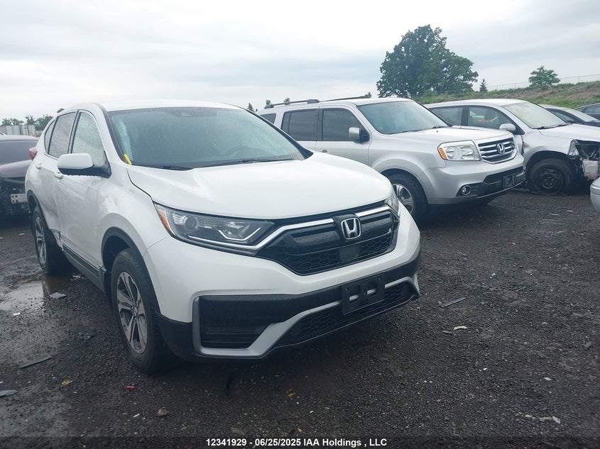 2HKRW2H2XLH202455 2020 Honda Cr-V Lx auction photo 1