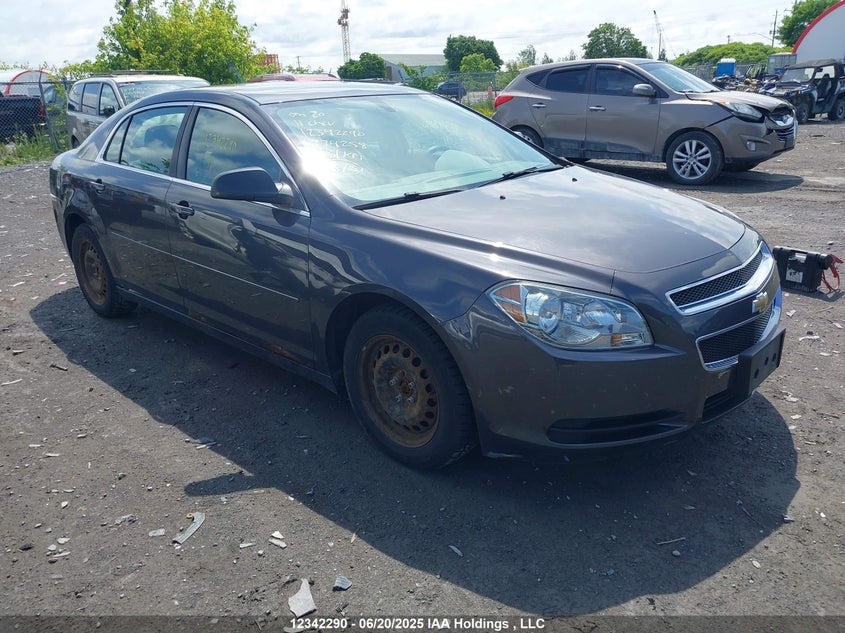 1G1ZB5EUXBF274258 2011 Chevrolet Malibu Classic auction photo 1