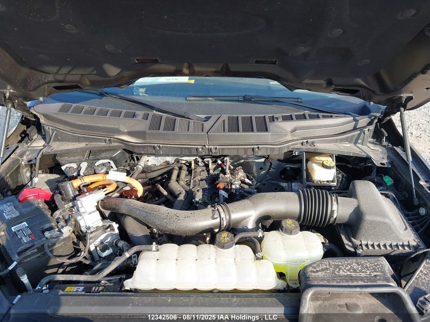 1FTFW5LD8RFB64983 2024 FORD F-150 photo no. 10