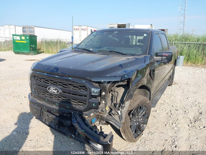 1FTFW5LD8RFB64983 2024 FORD F-150 photo no. 6