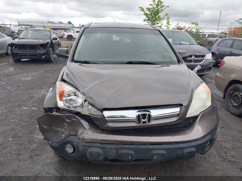 2009 Honda Cr-V VIN: 5J6RE48519L812414 Lot: 12318990X