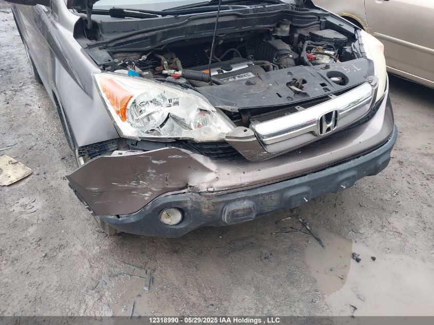 2009 Honda Cr-V VIN: 5J6RE48519L812414 Lot: 12318990X