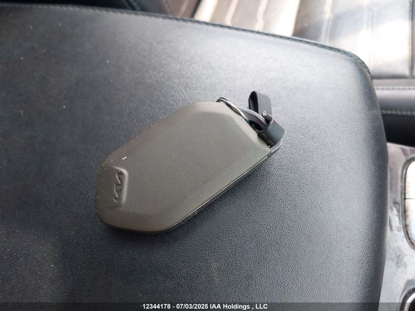 2023 Kia Telluride Sx/Sx Limited/X-Line/X-Pro VIN: 5XYP5DGC4PG404835 Lot: 12344178