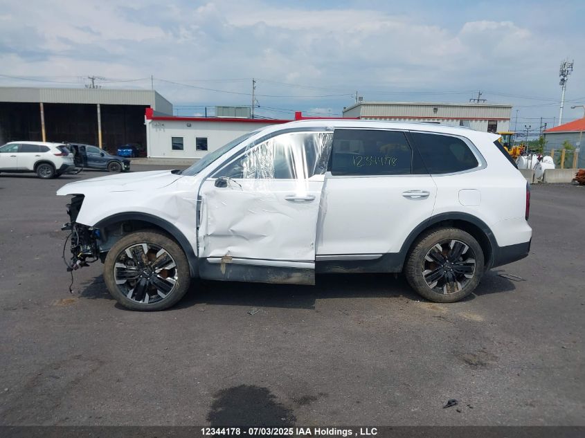 2023 Kia Telluride Sx/Sx Limited/X-Line/X-Pro VIN: 5XYP5DGC4PG404835 Lot: 12344178