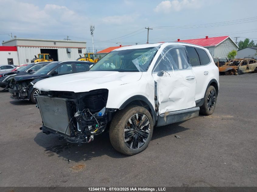 2023 Kia Telluride Sx/Sx Limited/X-Line/X-Pro VIN: 5XYP5DGC4PG404835 Lot: 12344178