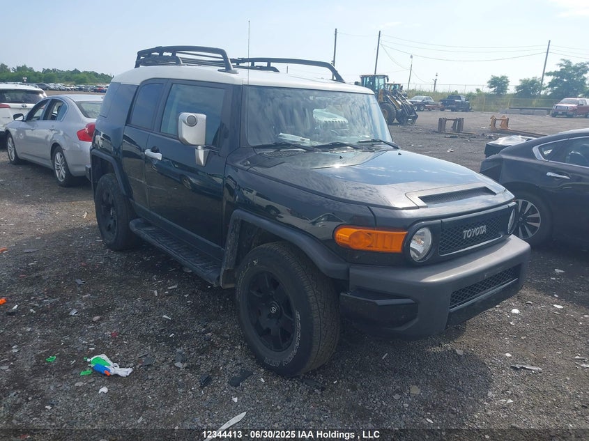 JTEBU11F870003045 2007 Toyota Fj Cruiser auction photo 1