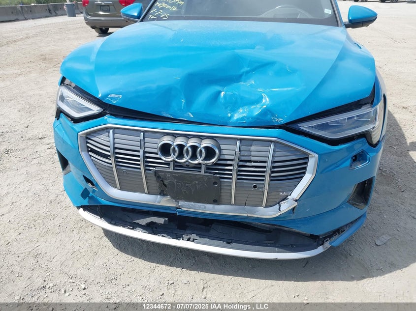 WA1VAAGE7KB011055 2019 AUDI E-TRON photo no. 6