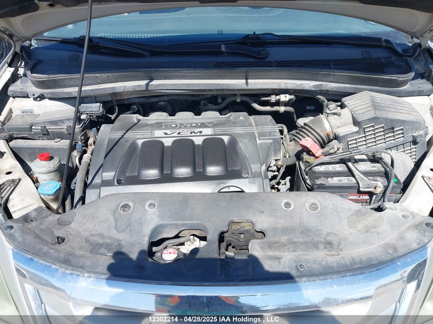 2008 Honda Odyssey Exl VIN: 5FNRL386X8B502987 Lot: 12302214X