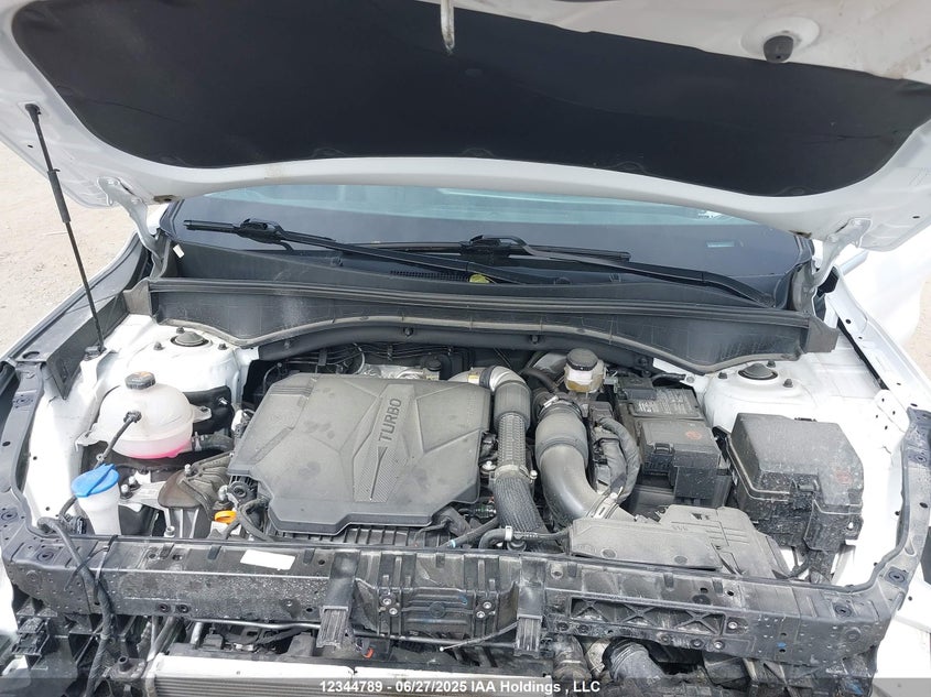 2024 Kia Sorento Ex/X-Line Ex VIN: 5XYRHDJF2RG275712 Lot: 12344789