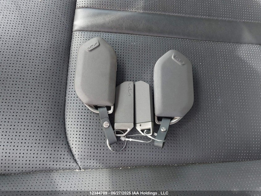 2024 Kia Sorento Ex/X-Line Ex VIN: 5XYRHDJF2RG275712 Lot: 12344789