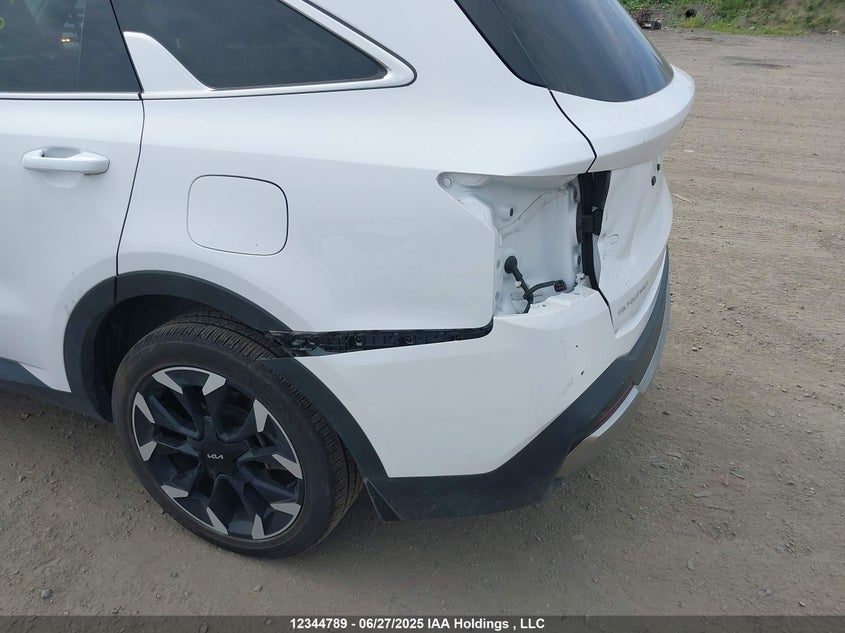 2024 Kia Sorento Ex/X-Line Ex VIN: 5XYRHDJF2RG275712 Lot: 12344789