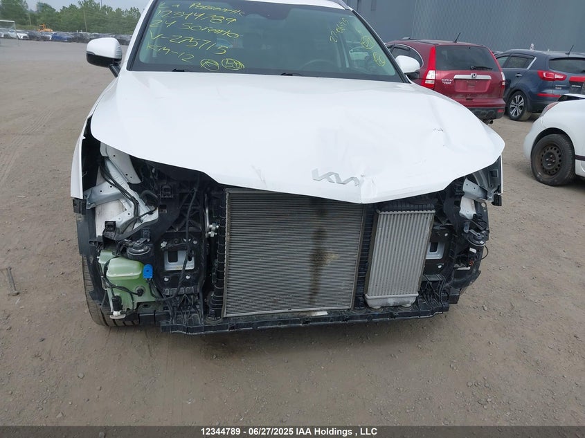 2024 Kia Sorento Ex/X-Line Ex VIN: 5XYRHDJF2RG275712 Lot: 12344789