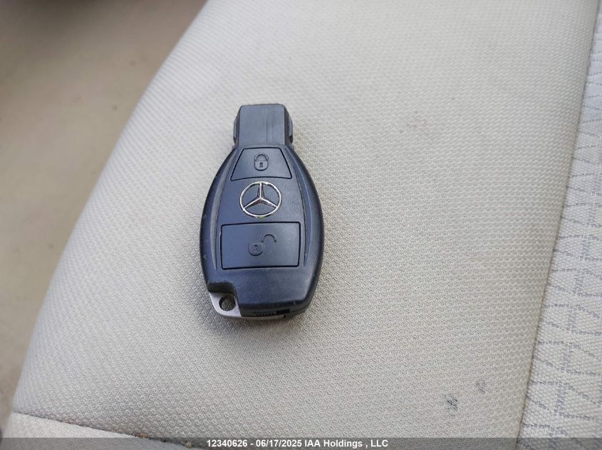 2010 Mercedes-Benz B 200 VIN: WDDFH3DB5AJ592304 Lot: 12340626X