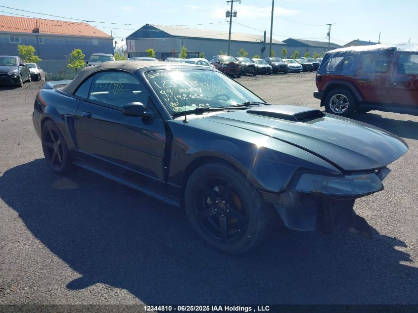 1999 Ford Mustang VIN: 1FAFP4443XF192652 Lot: 12344810