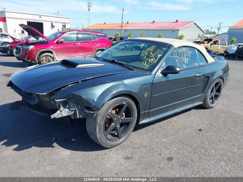 1999 Ford Mustang VIN: 1FAFP4443XF192652 Lot: 12344810