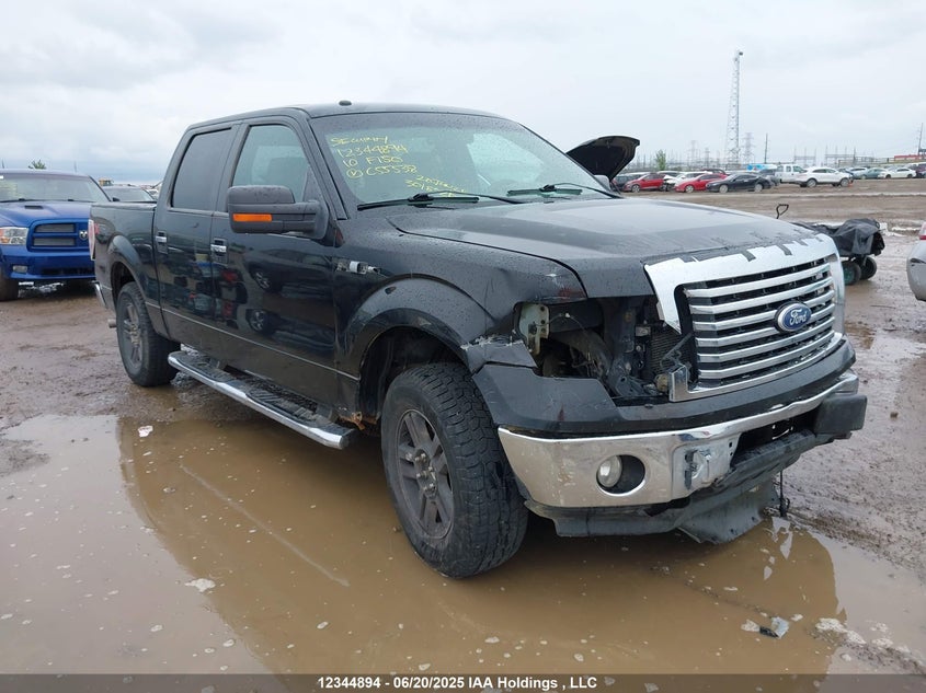 1FTFW1EV0AFC55538 2010 Ford F-150 Fx4/Harley-Davidson/Lariat/Xlt auction photo 1