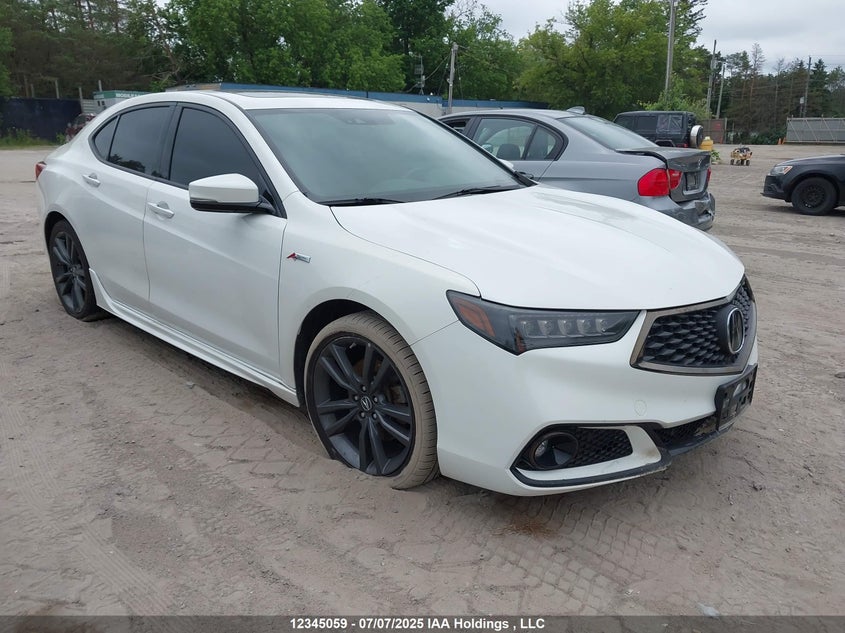 19UUB3F6XJA800858 2018 Acura Tlx Tech+A/Tch+Ar auction photo 1
