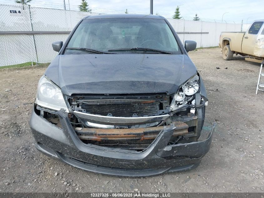 2007 Honda Odyssey Ex VIN: 5FNRL38467B501252 Lot: 12327325X