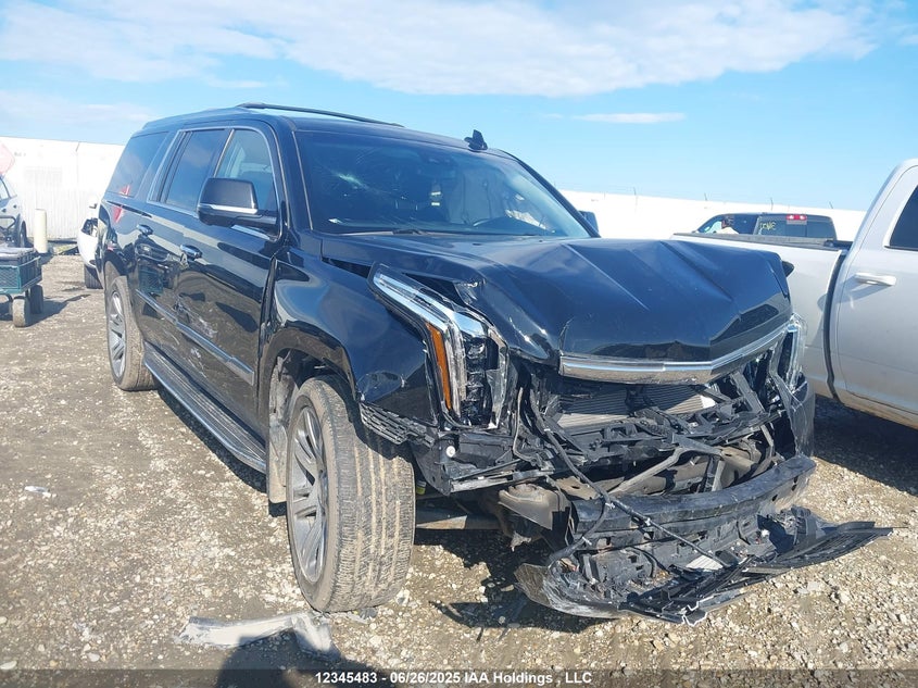 1GYS4HKJ3JR188098 2018 Cadillac Escalade Esv Luxury auction photo 1