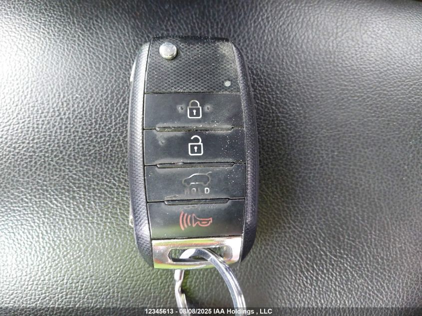 2015 Kia Soul VIN: KNDJP3A50F7175876 Lot: 12345613