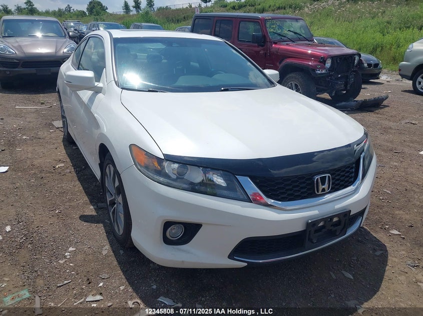 1HGCT1B8XDA800089 2013 Honda Accord Ex-L-Navi auction photo 1