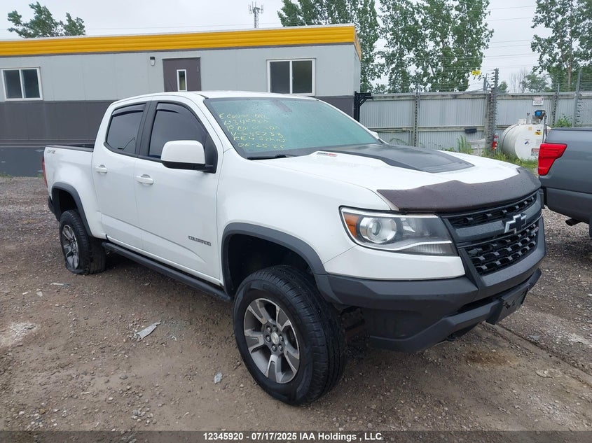 1GCPTEE13K1245733 2019 Chevrolet Colorado 4Wd Zr2 auction photo 1