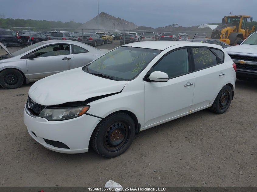 2011 Kia Forte Ex VIN: KNAFU5A23B5460073 Lot: 12346335