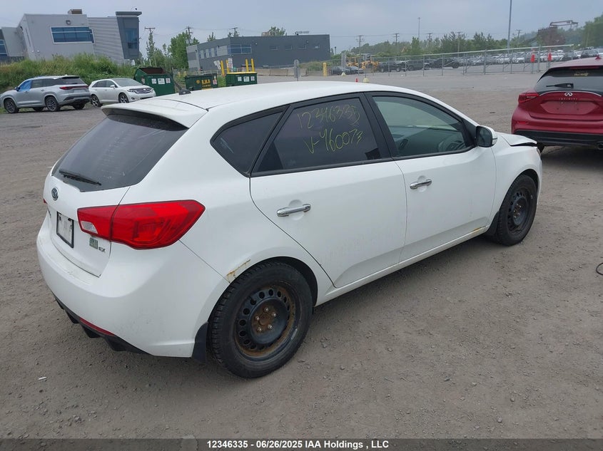 2011 Kia Forte Ex VIN: KNAFU5A23B5460073 Lot: 12346335