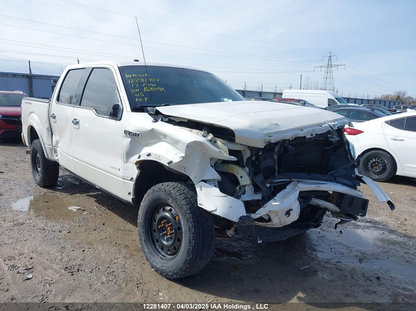 1FTFW1ET1DFB25092 2013 Ford F-150 Limited auction photo 1