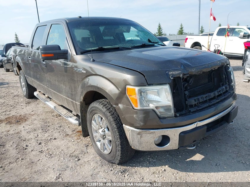 1FTPW14V09FA33972 2009 Ford F-150 Fx4/King Ranch/Lariat/Platinum Package/Xlt auction photo 1