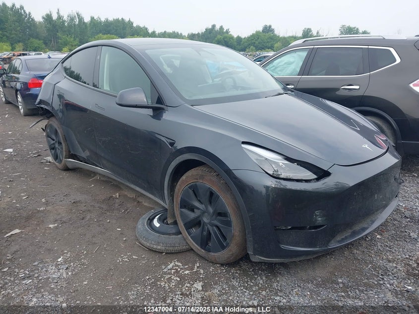 7SAYGDEEXSF287123 2025 Tesla Model Y Long Range auction photo 1