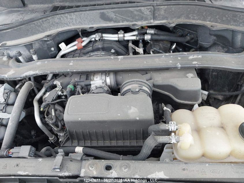 2021 Ford Explorer Police Interceptor VIN: 1FM5K8AB9MGB25361 Lot: 12347677