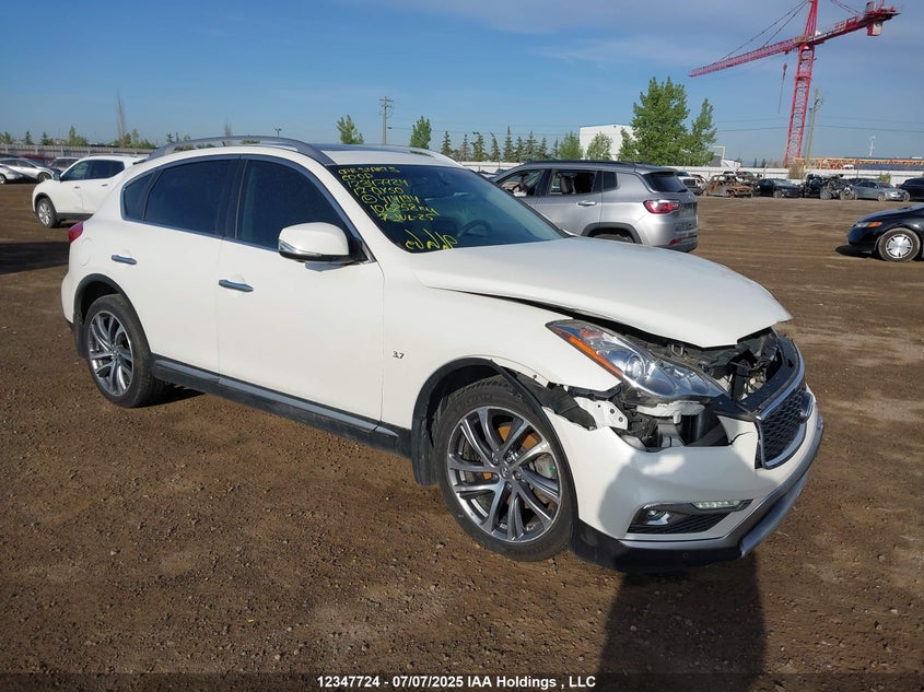 2017 Infiniti Qx50 VIN: JN1BJ0RR5HM414194 Lot: 12347724