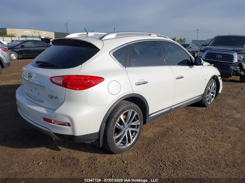 2017 Infiniti Qx50 VIN: JN1BJ0RR5HM414194 Lot: 12347724