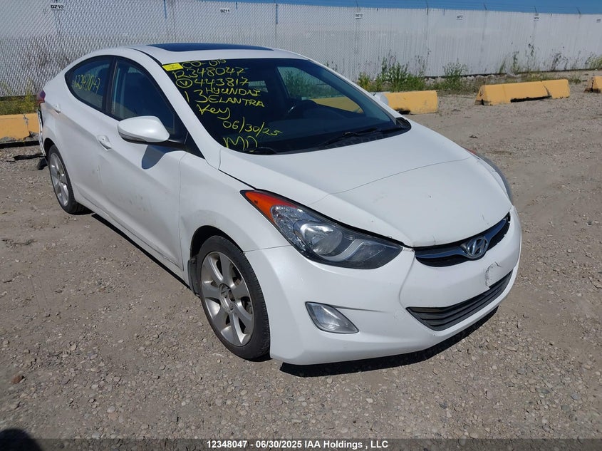 5NPDH4AE9DH443817 2013 Hyundai Elantra Limited auction photo 1