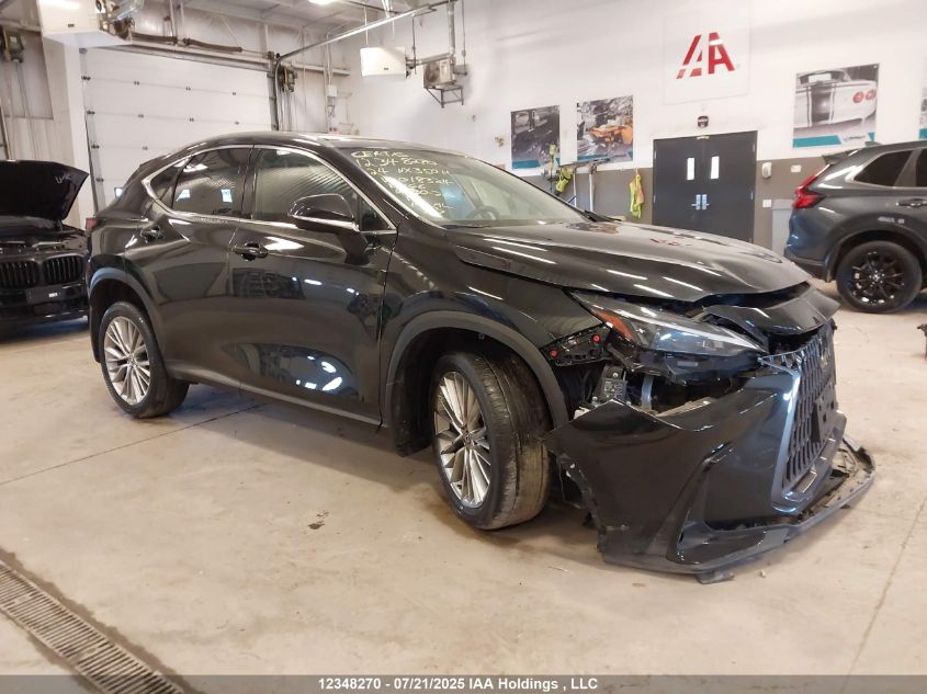 2024 Lexus NX 350h