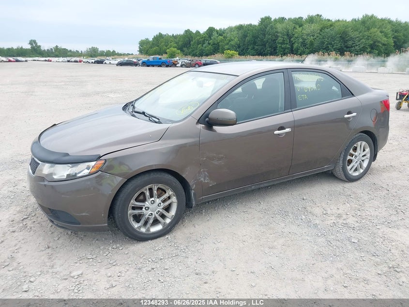 2012 Kia Forte 2.0L Ex VIN: KNAFU4A22C5640110 Lot: 12348293