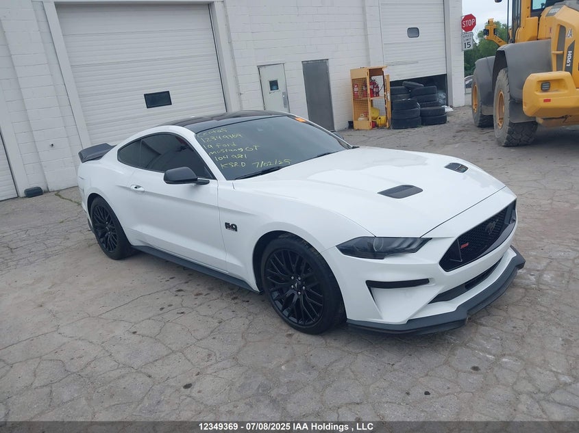 1FA6P8CFXK5104981 2019 Ford Mustang Gt auction photo 1