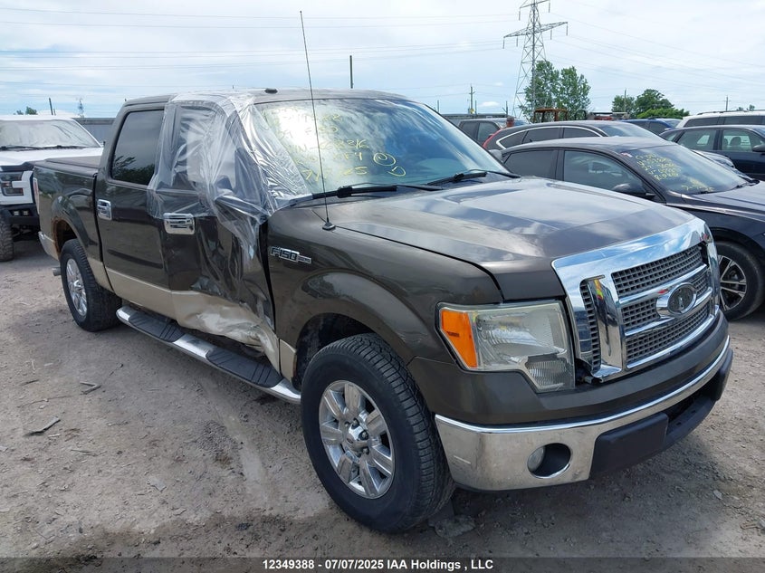 1FTRW12859KC68316 2009 Ford F-150 Xlt auction photo 1