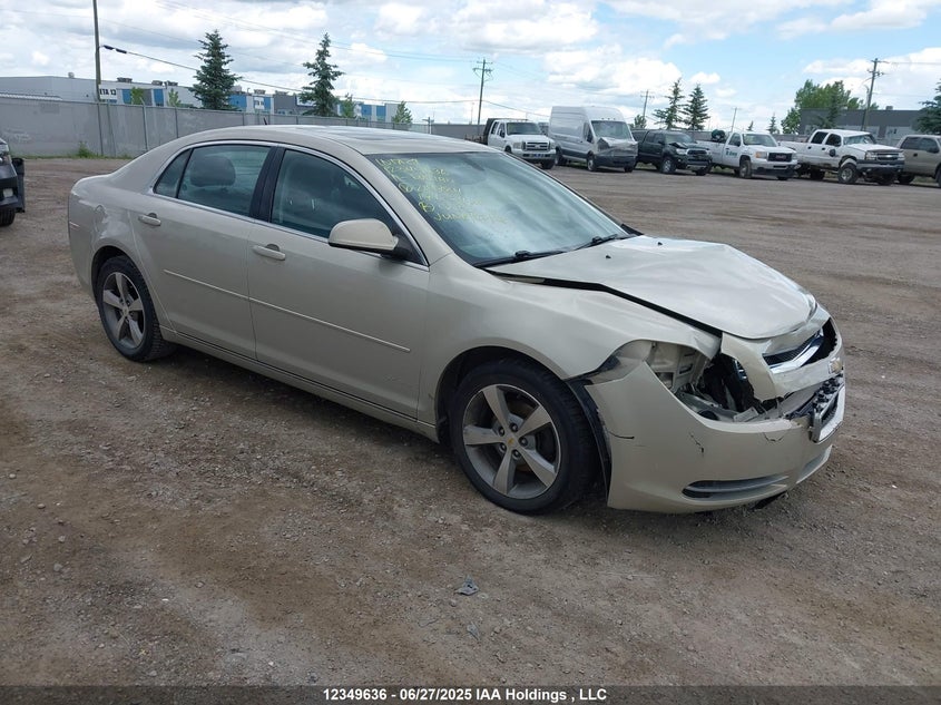 1G1ZD5EU3BF214784 2011 Chevrolet Malibu 2Lt auction photo 1