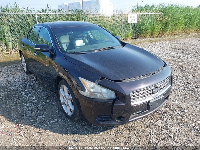 1N4AA5AP8BC851948 2011 Nissan Maxima 3.5 S auction photo 1