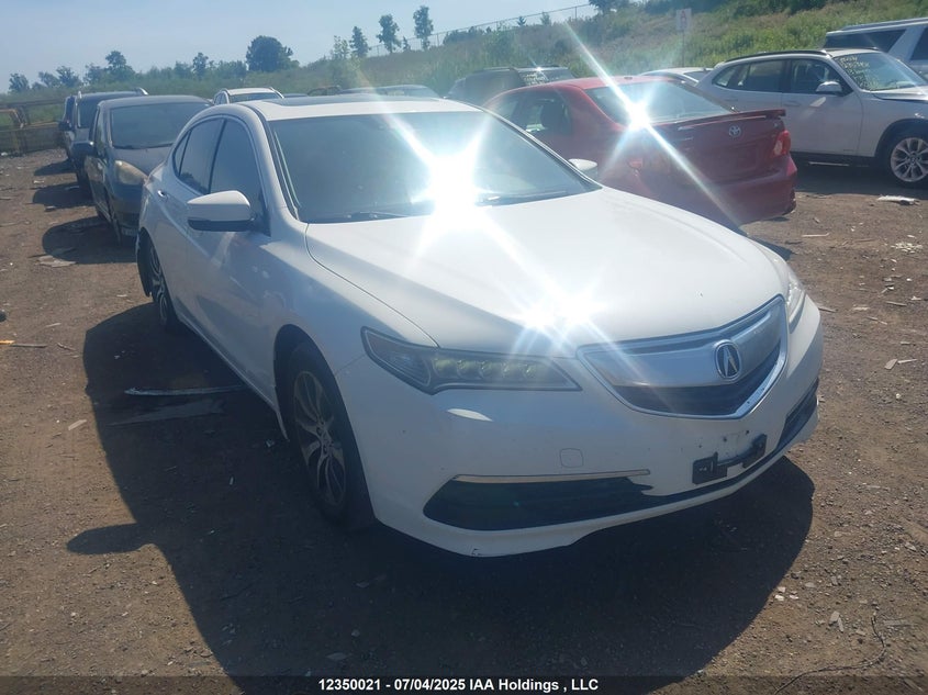 19UUB1F53HA800920 2017 Acura Tlx Tech auction photo 1