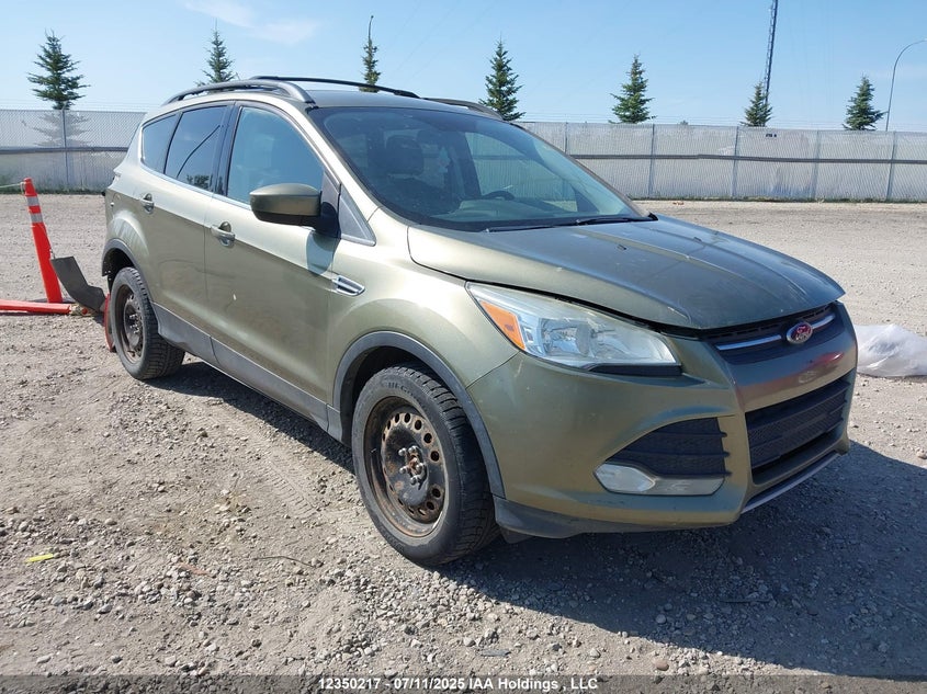 1FMCU9G9XDUA96210 2013 Ford Escape Se auction photo 1