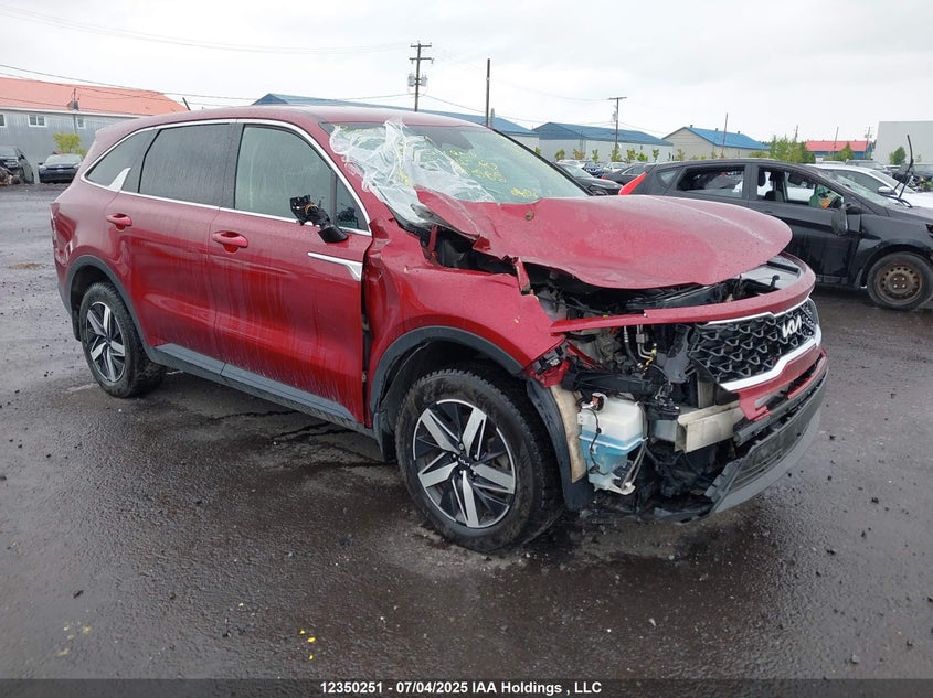 5XYRGDLC8PG241728 2023 Kia Sorento 2.5L Lx Premium/2.5L Lx+ auction photo 1