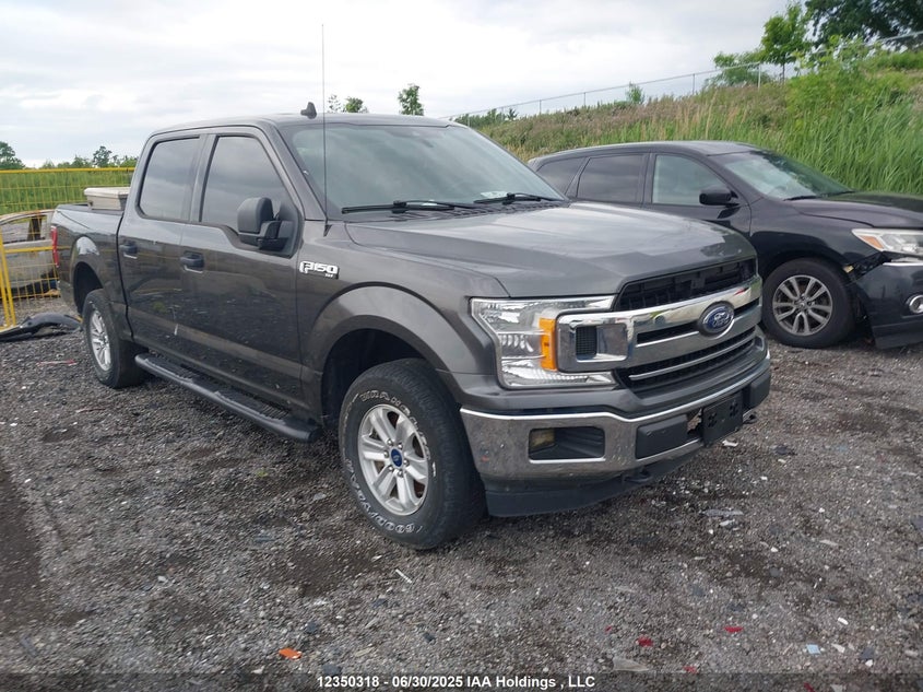 1FTEW1E54LFB24272 2020 Ford F-150 Xlt auction photo 1